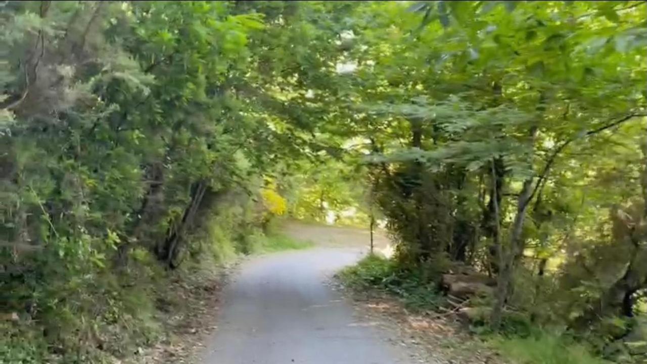 Corner Of Paradise 莫内利亚 外观 照片