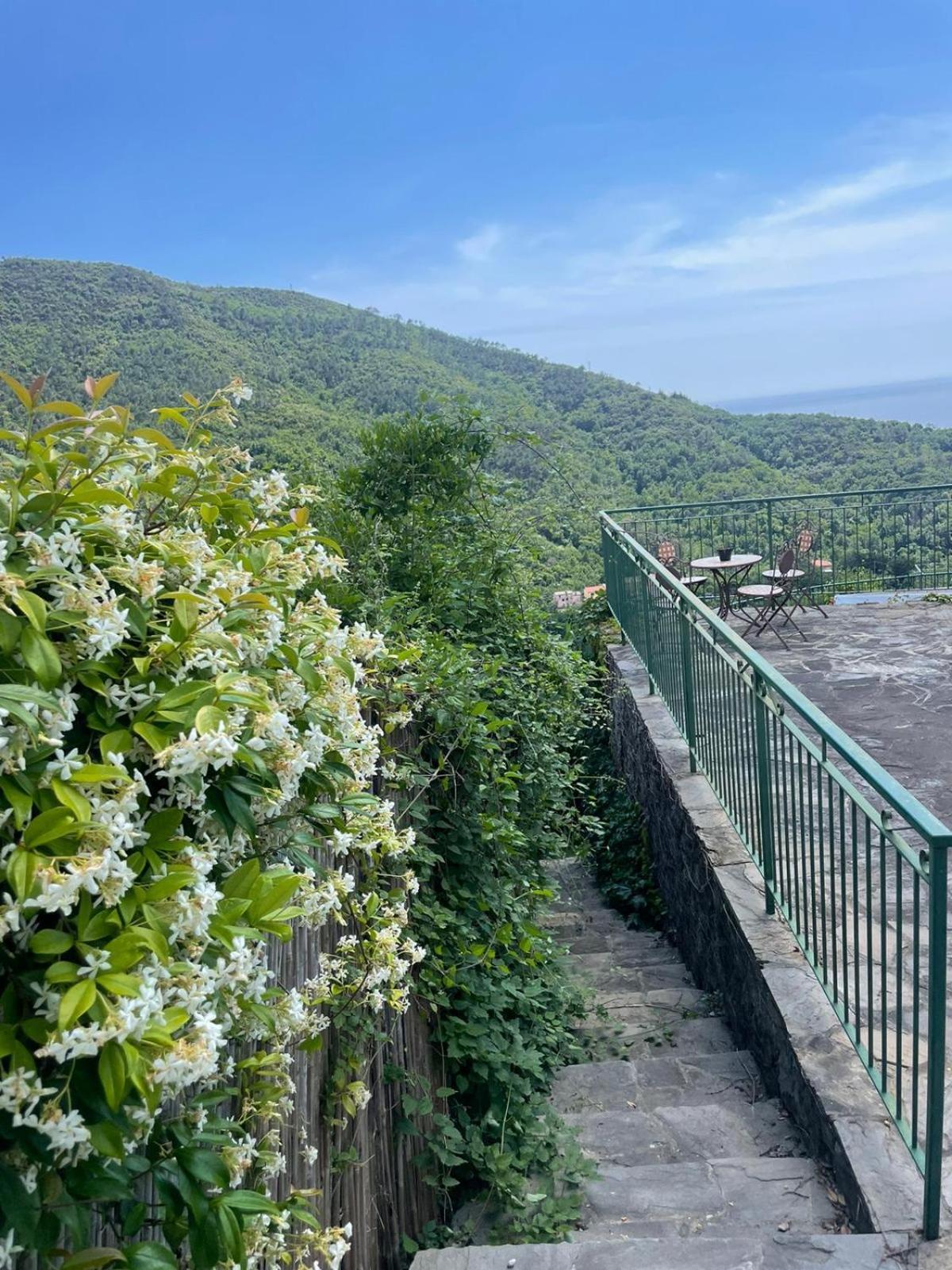 Corner Of Paradise 莫内利亚 外观 照片